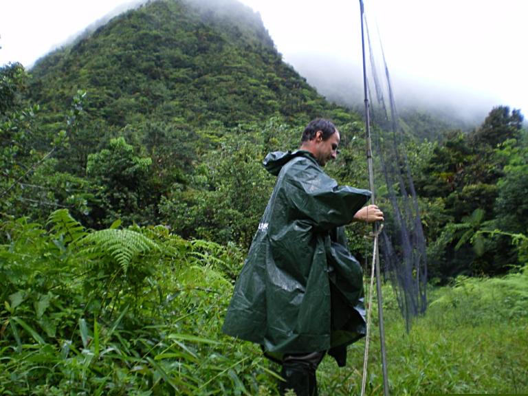bagage-foret-martinique