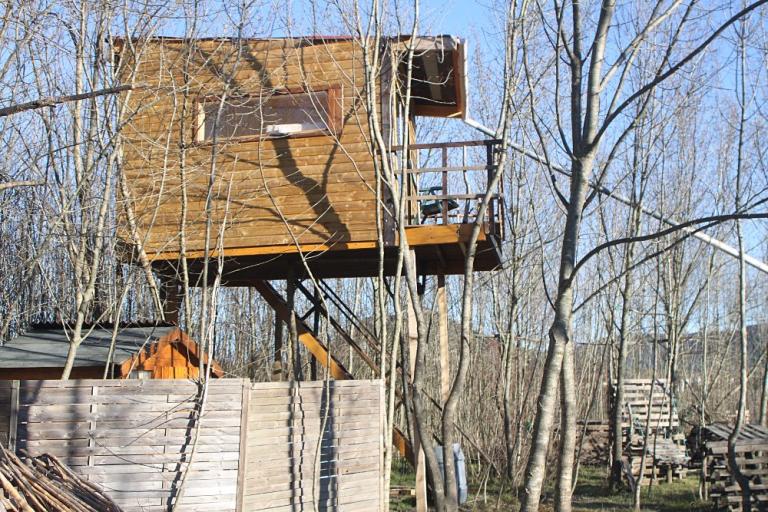 Une cabane arboricole que nous avons construite à Pompignan (Gard)