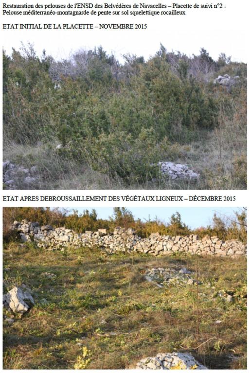 Chantier de restauration des pelouses de l'ENSD des Belvédères de Navacelles, décembre 2015