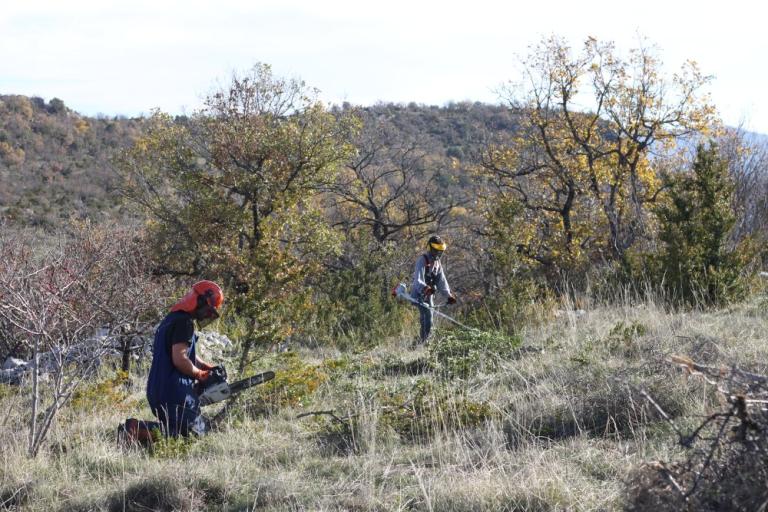 Chantier de restauration des pelouses de l'ENSD des Belvédères de Navacelles, décembre 2015